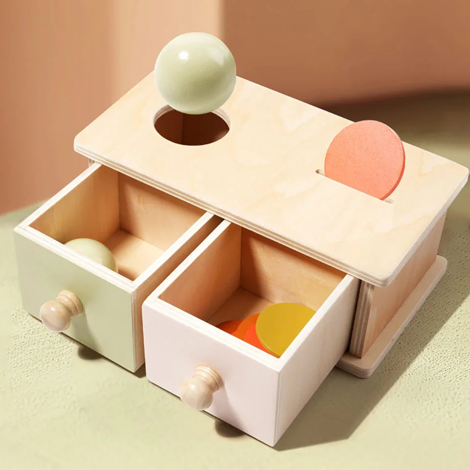 2-in-1 Toddler Coin Box Puzzle Game